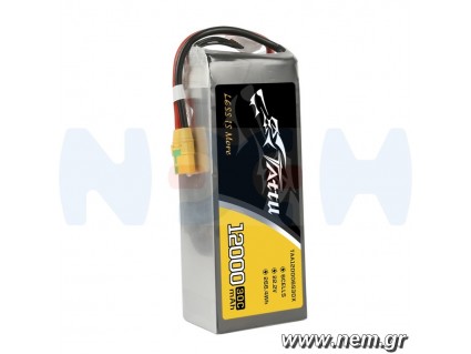 Tattu 12000mAh 22.2V 30C 6S1P UAV Lipo Battery Pack with XT90 plug